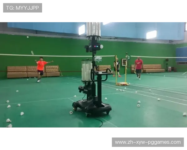 羽毛球修理机 羽毛球修理机