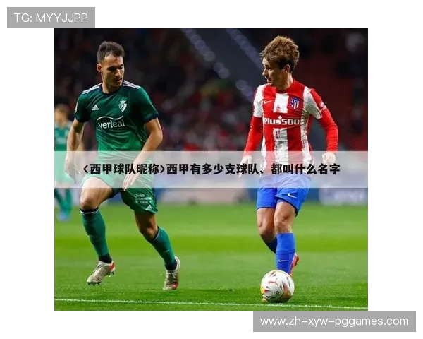 法甲比赛关键数据表格及各项指标统计